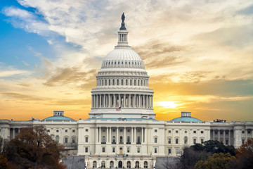 Fototapeta premium Capitol Building, Washington DC