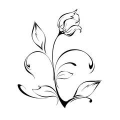 Tulip Bud on stem with leaves in black lines on white background