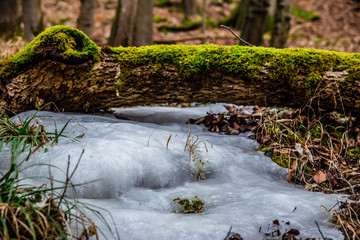 tree trunk over iced creek
