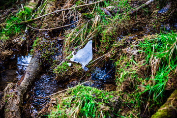 small creek