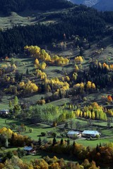 Autumn forest and village photos.artvin turkey 