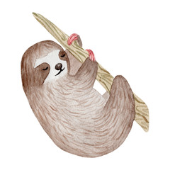Watercolor cute sloth on the palm tree. Tropical animal. Clipart isolated on white background. Hand painted illustration: nursery design, poster, greeting, birthday card, baby shower, party. Lazy baby