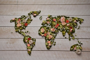 flower map world