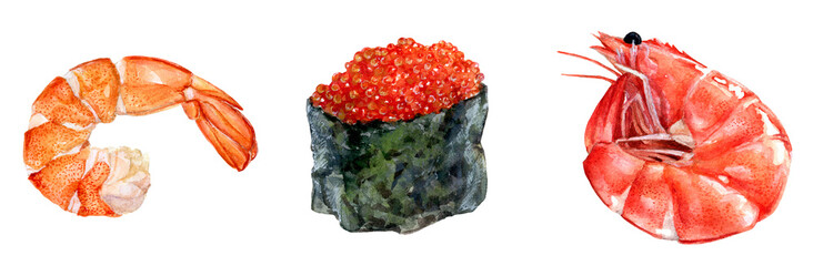 Watercolor hand drawn of shrimp, sushi caviar. © cosmicanna