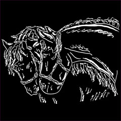 Fototapeta premium Beautiful horse heads Silhouette isolated on white background