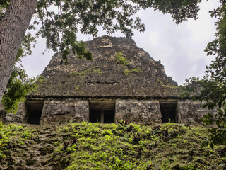 Temple Number 54of the nation's most significant Mayan city of Tikal Park, Guatemala