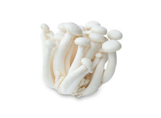 White beech mushrooms or Shimeji mushroom isolated on white background