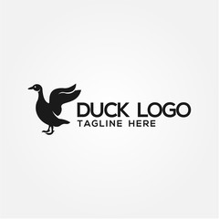 Fototapeta na wymiar Duck Logo Vector Design