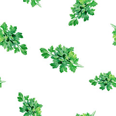 Watercolor hand drawn parsley spices isolated seamless pattern.