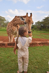 girl feeding giraffe