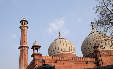 The spectacular architecture of the Great Friday Mosque (Jami Masjid), Delhi, India