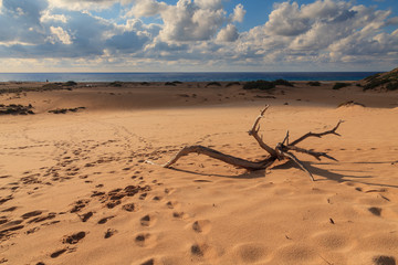 Fototapeta na wymiar spiaggia nel deserto