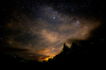 Fototapeta na wymiar Starry nigjt on the mountains with the Milky Way and pine trees
