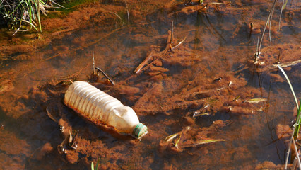Plastic bottle in a river