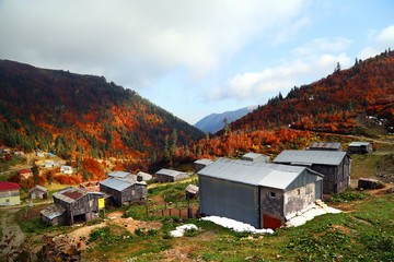 Autumn forest and village photos.artvin turkey 