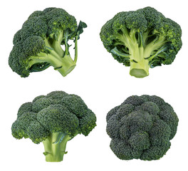 Fresh broccoli isolated on white background with clipping path