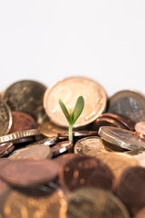 Geld, Wachstum, Vermehrung, Gewinn, keim
