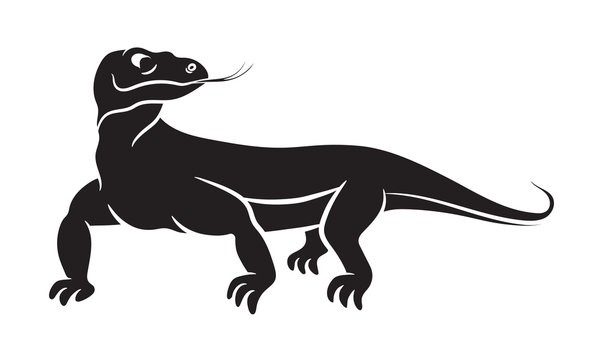 Varanus, komodo dragon black silhouette on white background
