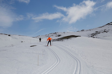 Naklejka na ściany i meble People are doing cross country skiing on holiday in Norway