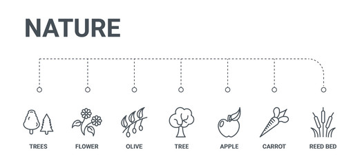simple set of 7 line icons such as reed bed, carrot, apple, tree, olive, flower, trees from nature concept on white background