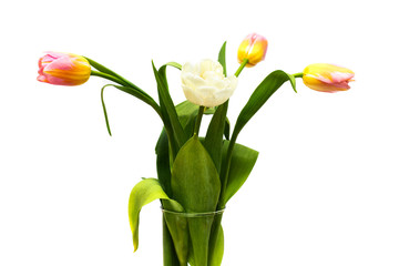Bouquet of yellow, pink and white tulips on white background. Vase with tulips