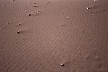 Stones in the Sand - Atacama Desert Sand Dune