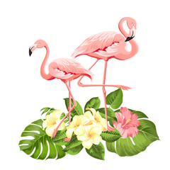 Flamingo background design. Tropical flowers illustration. Fashion summer print for wrapping, fabric, invitation card and your template design. Vector illustration.