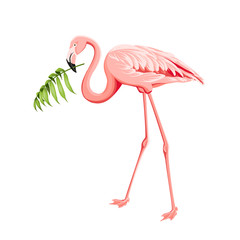 Beautiful tropical image with pink flamingo and plumeria flowers on a white backdrop. Exotic tropical palm tree. Flamingo background and jungle leaf in his beak. The Natural background.