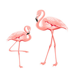 Tropical birds illustration. Pink flamingos set. Two staing flamingos. Elements for invitation card and your template design. Vector illustration.