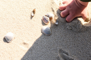 hands of a child play with sand on the beach on a sunny day 