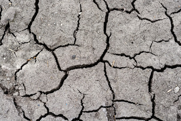 Gray cracked earth background texture