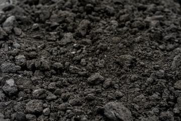 close up soil peat moss dirty background and texture 
