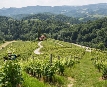 Herzerl Stra&szlig;e nahe S&uuml;dsteiermark