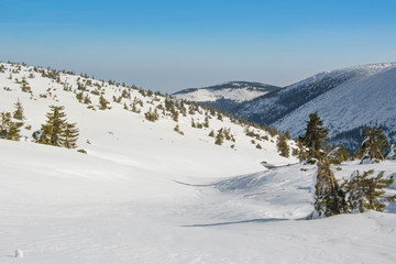 Fototapeta na wymiar piękny zimowy górski krajobraz, Sudety