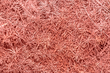 Red abstract plant texture