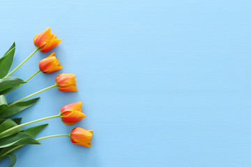 Fototapeta na wymiar bouquet of orange and yellow tulips over pastel blue wooden background. Top view