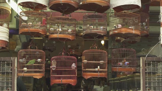 Yuen po street bird garden - October 2018: Hong Kong, China