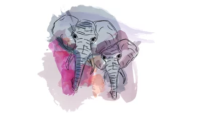 Cercles muraux Crâne aquarelle éléphant aquarelle animal