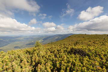 Fototapeta na wymiar Beskid Mountains landscape, view from hiking trail to Babia Gora Mountain in Poland