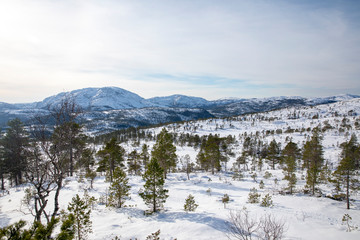 Fototapeta na wymiar Skiing in Northern Norwegian mountains - Sausheia