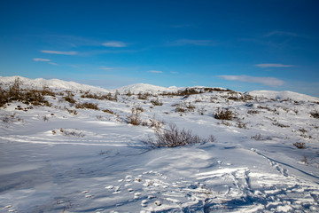 Skiing in Northern Norwegian mountains - Sausheia