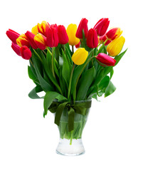 fresh tulips flowers