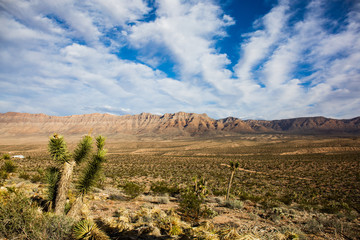 Grand Canyon Sky