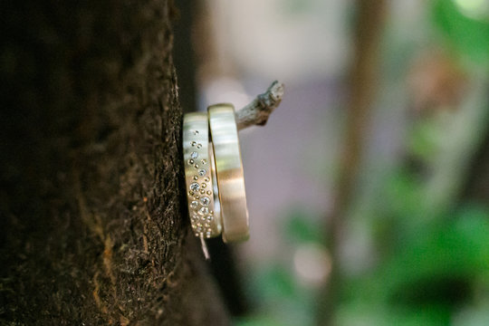 Schmuck Eheringe Hochzeit