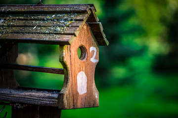 Wooden birdhouse hanging from tree with foliage blurred in background 