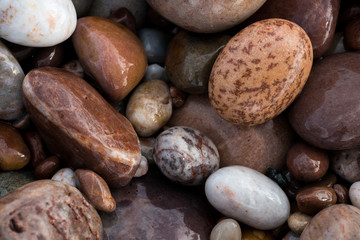 Pebbles on Budleigh Salterton Beach, UK