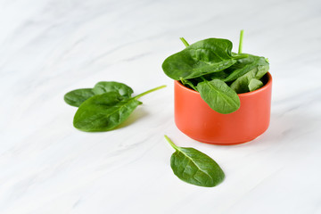 leaves of organic spinach in a terracotta ceramic plate. light background, selective focus, copy space, healthy food concept, vitamins