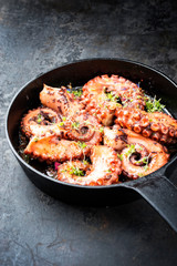 Traditionell geschmorter spanischer Oktopus mit Tomaten und Kräuter in Wein Sauce als closeup in einer gußeisernen Pfanne