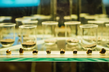 Stones and minerals in glass cabinets
