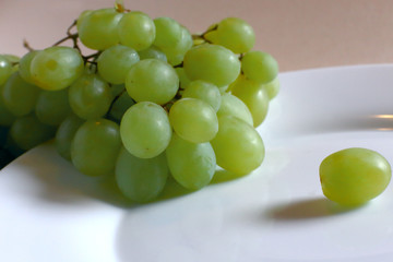 green grape